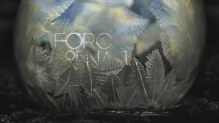 Forces of Nature: The Universe in a Snowflake
